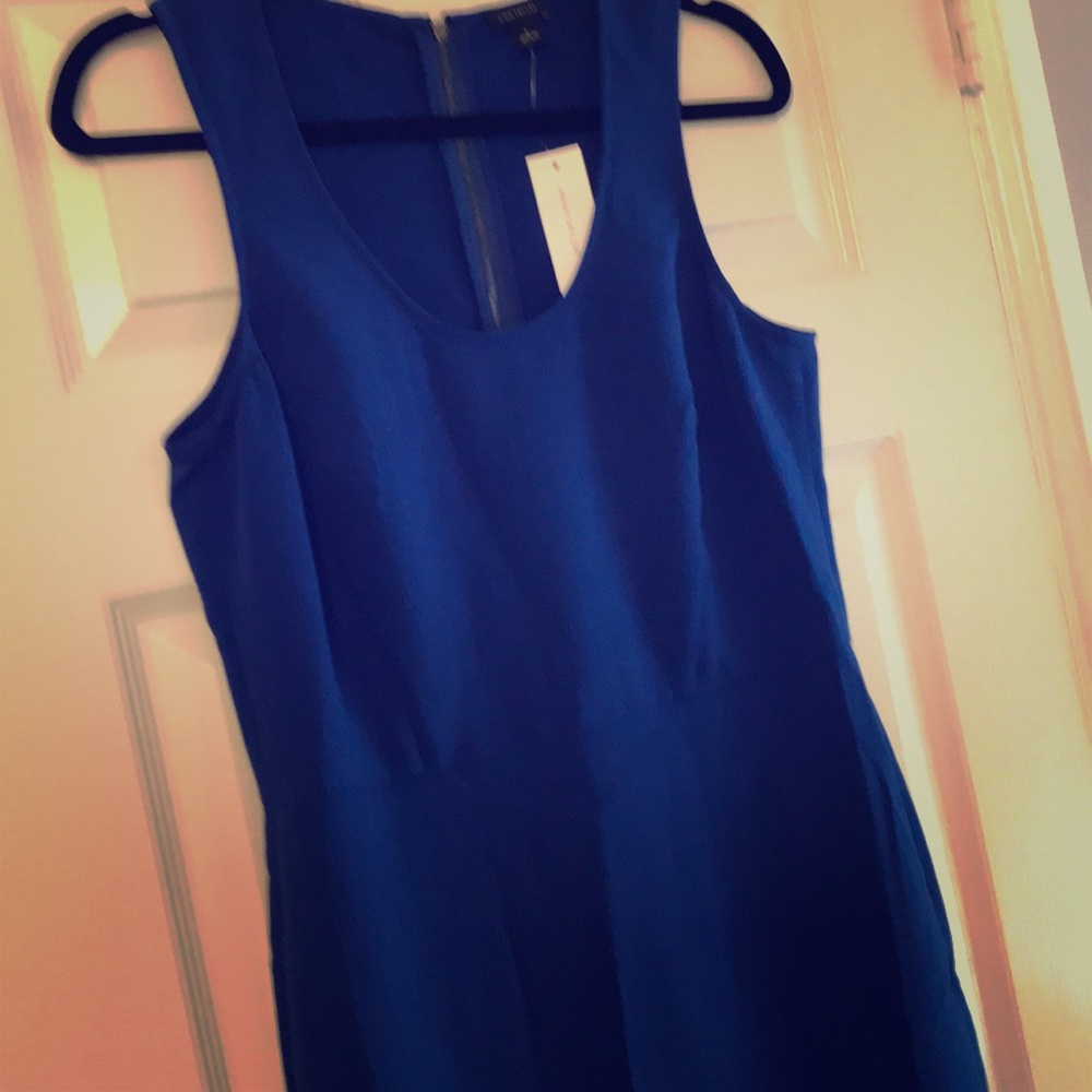 Royal Blue Ann Taylor Sheath Dress